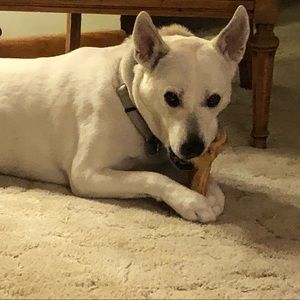 Meet your Posher, Marcia